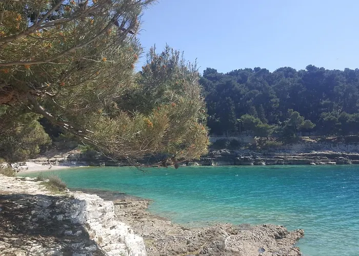 Eva Apartamento Pula